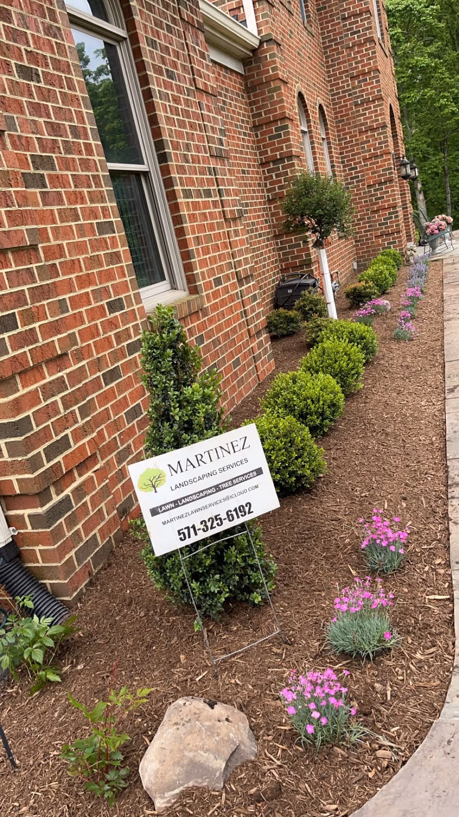 Trimmed boxwood shrubs and flowering perennials in a fresh mulch bed along the side of a brick home