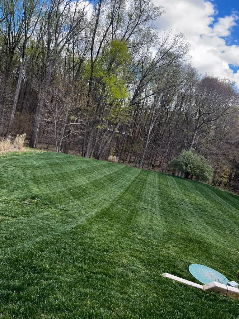 Large back lawn freshly cut with clean mower stripes, bordered by woodland